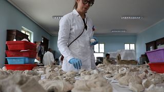 Le Musée national d'Afghanistan restaure son patrimoine bouddhiste
