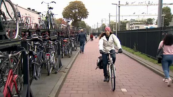 Recomeçar a vida depois do Brexit, na Holanda Recomeçar a vida depois do Brexit, na Holanda