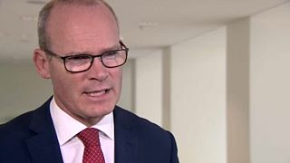 Simon Coveney tells Euronews the UK 'needs to move to facilitate deal'