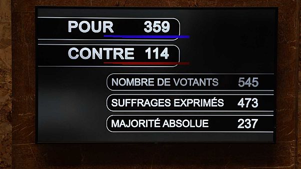PMA pour toutes : les députés français adoptent le projet de loi bioéthique PMA pour toutes : les députés français adoptent le projet de loi bioéthique