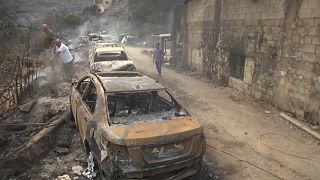 شاهد: دمار كبير تخلفه الحرائق في لبنان