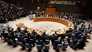 BM Güvenlik Konseyi,Türkiye gündemiyle yeniden toplanıyor