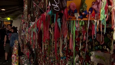 Sticky situation: Seattle’s 'gum wall' delights and disgusts in equal measure