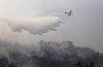 Orman yangınlarıyla mücadele eden Lübnan Türkiye'den yardım istedi 