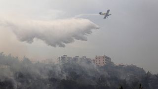Orman yangınlarıyla mücadele eden Lübnan Türkiye'den yardım istedi 