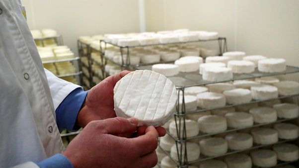 Francia: Pérdidas millonarias en el sector lácteo por accidente industrial Francia: Pérdidas millonarias en el sector lácteo por accidente industrial