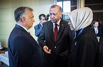 Rontja Magyarország esélyeit a bővítési posztra a törökbarát politika