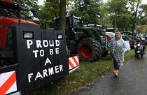 Dutch farmers protest 'unfair climate goals'