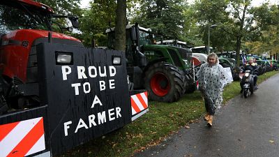 Фермеры Нидерландов протестуют на тракторах