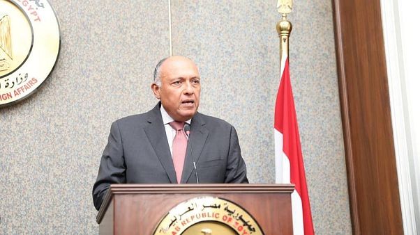 سامح شكري، وزري الخارجية المصري سامح شكري، وزري الخارجية المصري