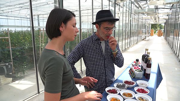 Essbare Blumen: Europäisches Projekt belebt alte Tradition wieder Essbare Blumen: Europäisches Projekt belebt alte Tradition wieder