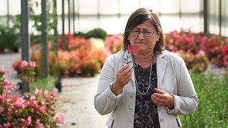 Barbara Ruffoni e a história de amor com as flores comestíveis