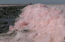 Vom Exportschlager zur Bückware: Rosa Salz von der Krim