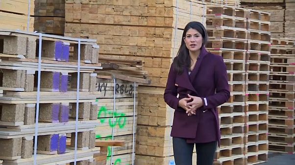 BREXIT : quel avenir pour la palette ? BREXIT : quel avenir pour la palette ?