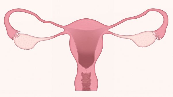 Dünya Menopoz Günü: Gündemde iş yerinde menopoz politikası ve testosteron tedavisi var Dünya Menopoz Günü: Gündemde iş yerinde menopoz politikası ve testosteron tedavisi var