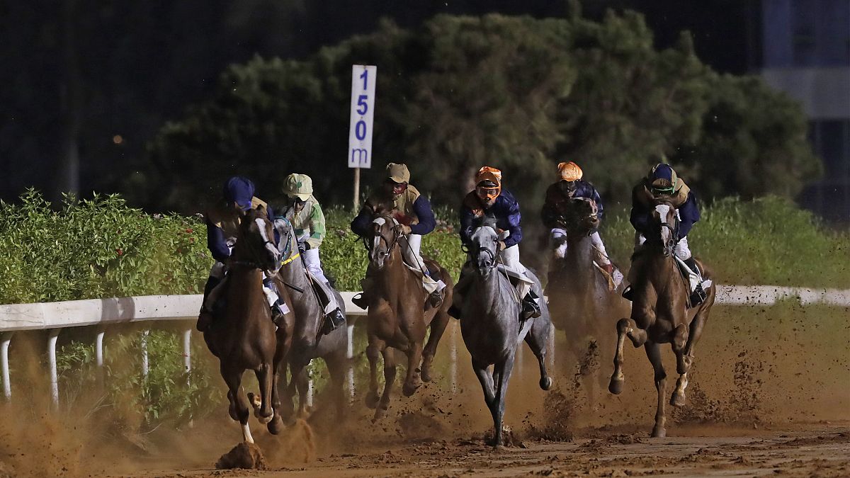 Yaşlanan binlerce yarış atının son durağı mezbahane oluyor: Etler Japonya ve Rusya'ya gönderiliyor 