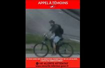24-year-old Algerian student confesses to Lyon bomb blast, IS links