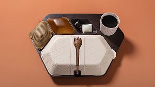 Edible airline meal tray