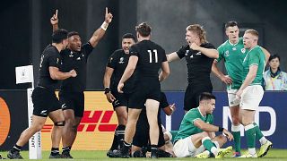 Rugby-WM: England und Neuseeland im Halbfinale