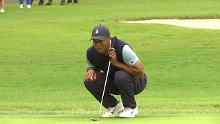 Tiger Woods nach Knieoperation zurück auf dem Rasen