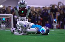 Ρομπότ-ποδοσφαιριστές και μέθοδοι καλλιέργειας για άλλους...πλανήτες