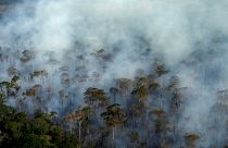Amazzonia: dopo gli incendi, arrivano i cercatori d'oro
