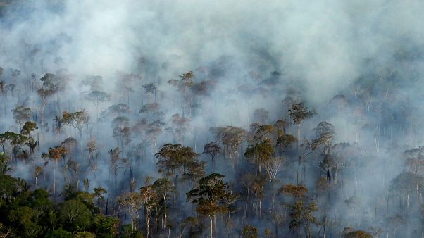 Amazzonia: dopo gli incendi, arrivano i cercatori d'oro Amazzonia: dopo gli incendi, arrivano i cercatori d'oro