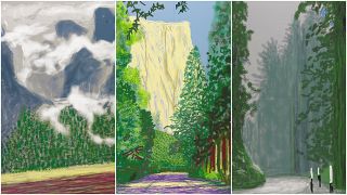 iPad drawings from David Hockney's Yosemite collection