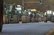 Nicht mit uns - Agrarpolitik treibt deutsche und französische Bauern auf die Barrikaden