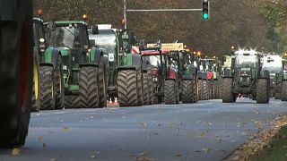 In Germania e Francia nuova protesta degli agricoltori, trattori in strada