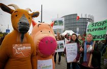 شاهد: احتجاجات المزارعين بالقرب من البرلمان الأوروبي للمطالبة بالزراعة المستدامة