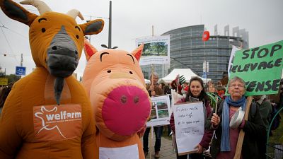 تجمع اعتراضی کشاورزان مقابل پارلمان اروپا در استراسبورگ