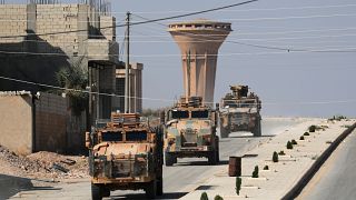 Turkey has captured hundreds of militants in Syria