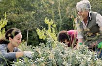 Gardentopia – ©Luca Centola