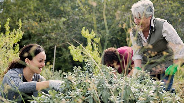 Gardentopia – ©Luca Centola Gardentopia – ©Luca Centola