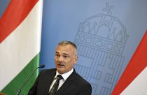 A Fidesz után a MOB-ból is kitették Borkait