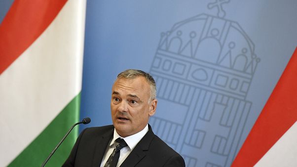 A Fidesz után a MOB-ból is kitették Borkait A Fidesz után a MOB-ból is kitették Borkait