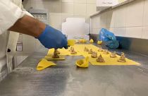 Virtuális spagettivacsorára invitál a Nemzetközi Tésztaszövetség 