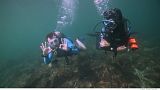 Adventures – Explore, dive and discover the sealife in Dubai’s waters