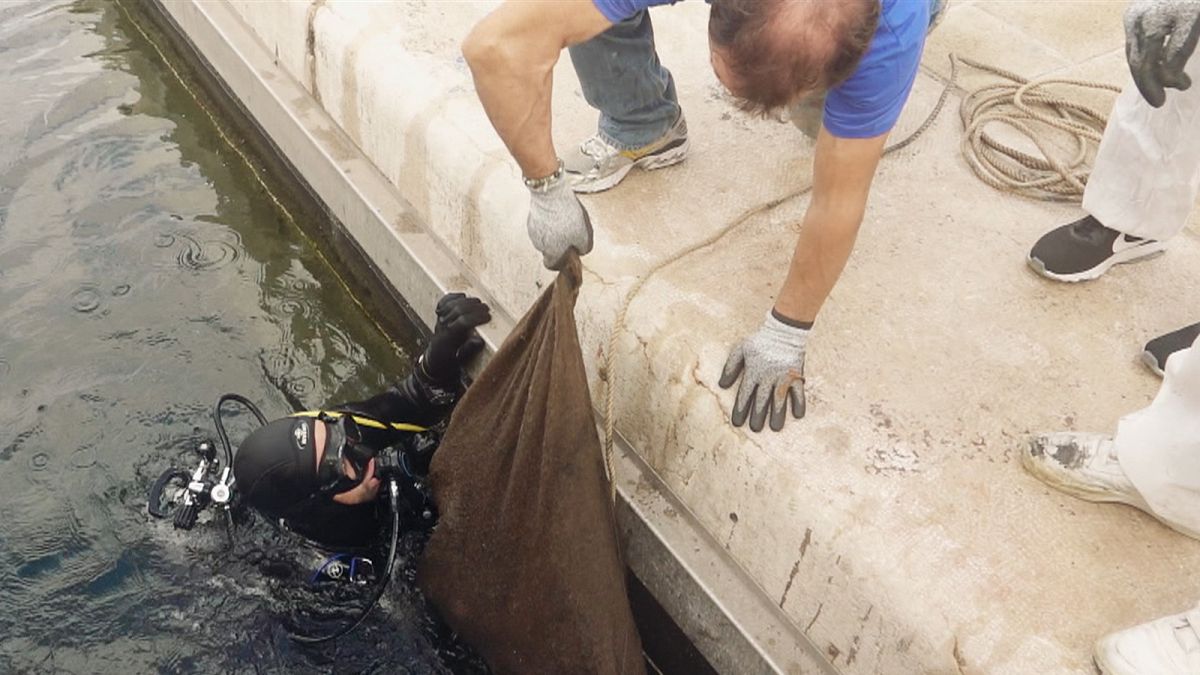 Önkéntes búvárok takarítják a marseille-i kikötő szemetét 