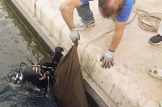 When it comes to cleaning up the Oceans, technology may be good but education is even better