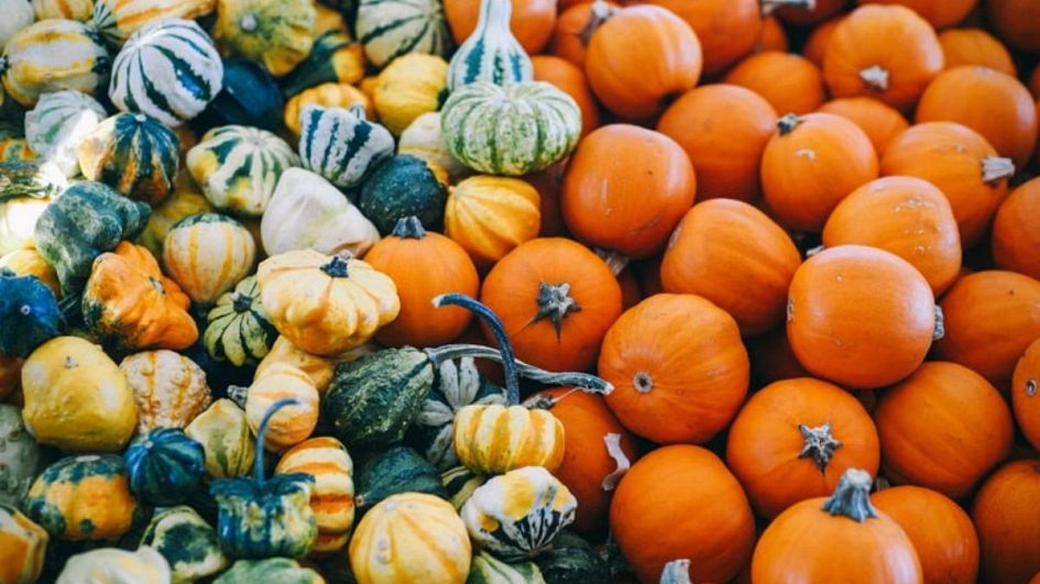 Halloween: The nightmarish statistics of this holiday’s food waste