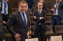 Παναγιωτόπουλος στο euronews: Η αύξηση των ροών εγείρει θέματα ασφαλείας