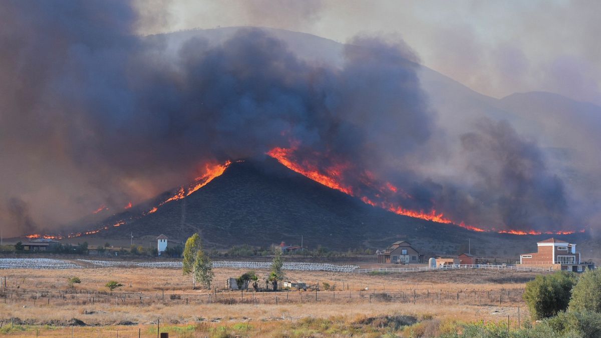Kaliforniya'da orman yangını söndürülemiyor