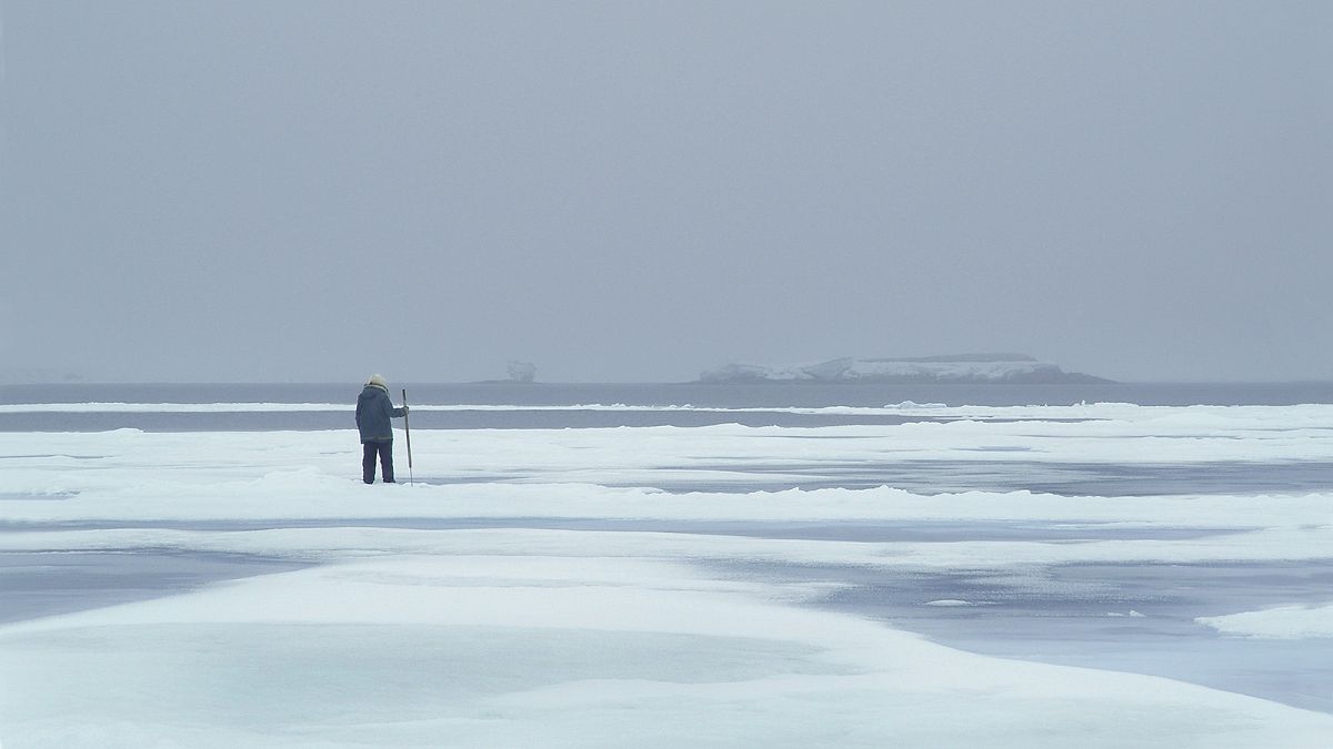 Ártico: um gelo traiçoeiro?