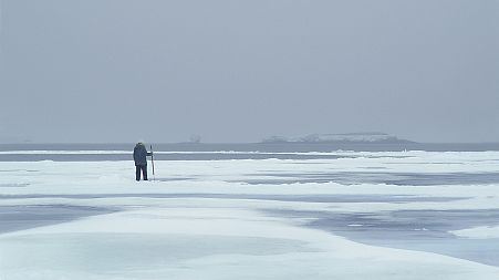 Walking on thin ice in the Arctic?