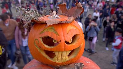 Giant and eerie display of Halloween pumpkin heads in Bucharest