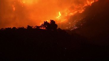 Thousands ordered to flee fast-moving Los Angeles wildfire