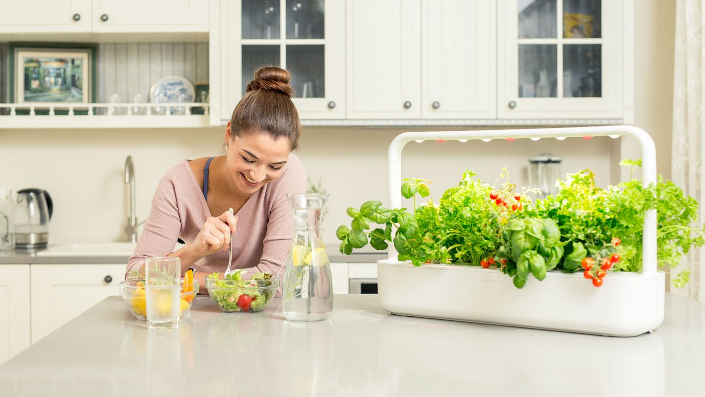 Top 15 smart garden for kitchen you need to invest in