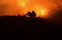 Waldbrände: Über 185.000 Kalifornier fliehen
